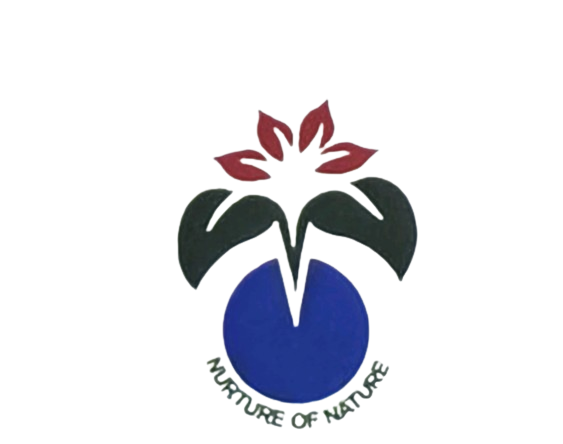 newbeena nursery&gardens